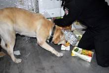 Papierosy w sokach i dachu naczepy