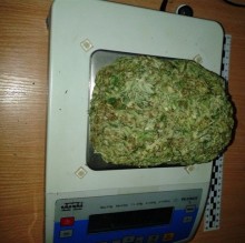 marihuana(2).jpg