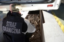 Poukrywali papierosy