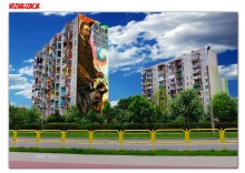 Wygrał kolorowy Wierusz Aleksandra Dżuna