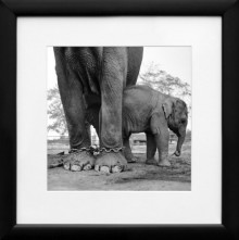 Wystawą Wojtka Moskwy powraca PAcamera!