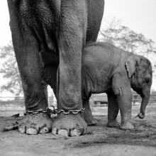 Sansara Wojtka Moskwy w PACamerze