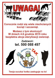 Akcja sterylizacji zwierząt w Mikołajewie