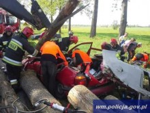 Olecko. Drzewo przygniotło ludzi