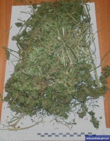 Olecko: Funkcjonariusze zabezpieczyli blisko 200 g marihuany