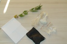 Posiadał i uprawiał narkotyki