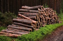Suwałki. Ukradli sześć metrów drewna