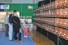 Ptasie trele w Zespole Szkół nr 8 w Suwałkach [zdjęcia]