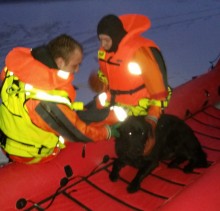 Strażacy uratowali tonącego psa