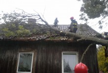 Wiatr przewracał drzewa. Na drogach bardzo ślisko
