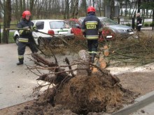  Silny wiatr. Przewrócony tir i uratowane niemowlę