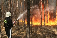 Pożar w Wigierskim Parku Narodowym. Płonęły dwa hektary lasu