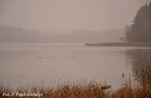 Wigierski Park Narodowy zaprasza na darmowe czwartki
