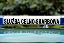 Kierowca autobusu przemycał rasowe szczenięta