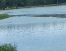 W jeziorze Kalejty koło Strękowizny utonął mężczyzna