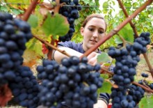 Chcą pracować w wakacje. Tylko, że pracy nie ma