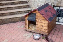 Olecko. Przed policją schował się w psiej budzie