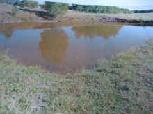 O krok od tragedii. Trzyletnia dziewczynka wpadła do stawu