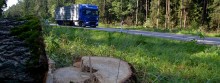 Na niebezpiecznym skrzyżowaniu trwa wycinka drzew
