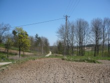 Nie będzie referendum w sprawie zakazu sprzedaży ziemi obcokrajowcom