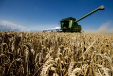 Ukraina „nie zaleje” Europy żywnością