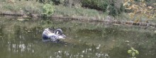 Śmierć w Kanale Augustowskim. Z wody wyłowiono opla i dwa ciała [zdjęcia]