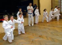 taekwondo-mlodzicy003.jpg