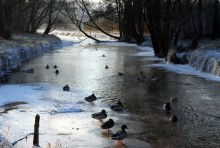 Uwaga na słaby i kruchy lód! [zdjęcia]