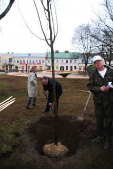 sadzenie-drzewek008.jpg