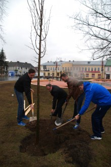 sadzenie-drzewek011.jpg