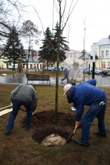 sadzenie-drzewek012.jpg