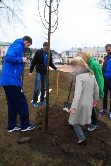 sadzenie-drzewek014.jpg