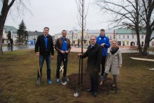 Suwalczanie sadzą swoje drzewka [zdjęcia]