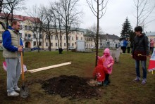 sadzenie-drzewek019.jpg