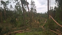 Wielkie straty po nawałnicach w lasach północno-wschodniej Polski [zdjęcia]
