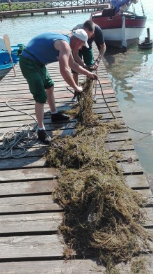 Skazani i funkcjonariusze służby więziennej razem posprzątali przystań [zdjęcia]
