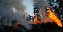 Podpalenie przyczyną pożaru w podsuwalskim lesie [zdjęcia]