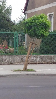 Raczki. Mieszkańcy ul. Kościelnej walczą o porządek na swojej ulicy