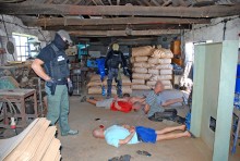 Podlascy pogranicznicy pomagali rozbić tytoniową krajalnię [zdjęcia]