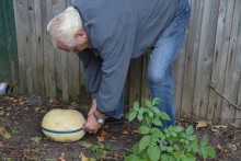 Plony trafiają do piwnic. Niektóre naprawdę zaskakują [wideo]