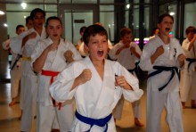 karate-wystawa016.jpg