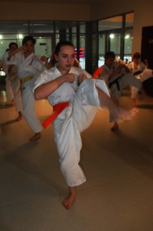 karate-wystawa020.jpg
