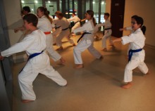 karate-wystawa021.jpg