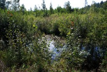 Konsultacje społeczne w gminie Suwałki 