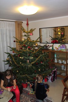 Siatkarz Ślepska Dawid Michel. Cicha noc nad Dunajem...