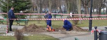 Wykopki w parku. Szukali przecieku, a teraz zaczną lać wodę