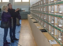 Ptasia wystawa w Suwałkach