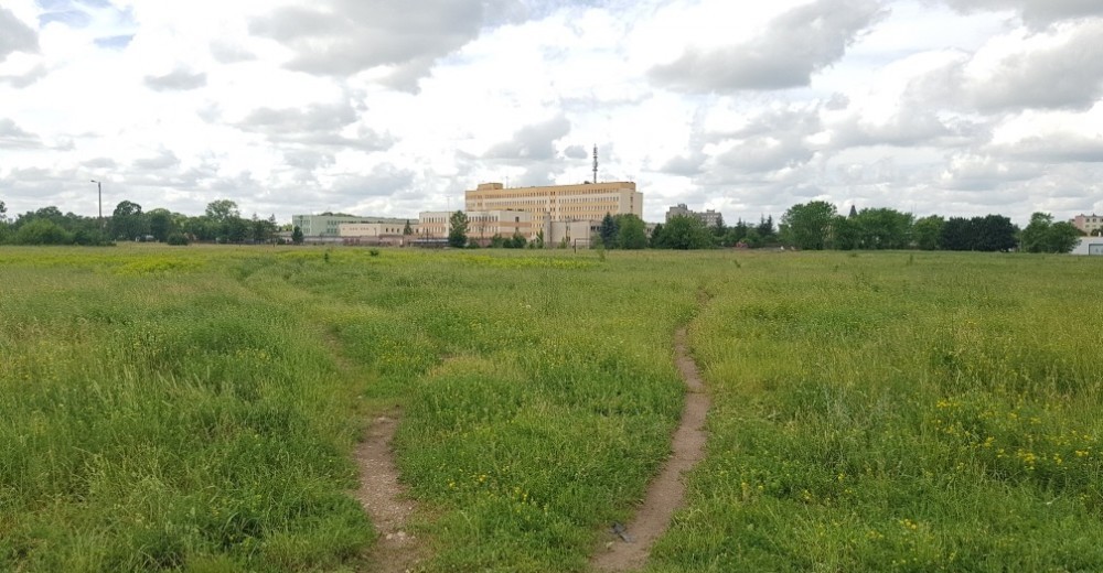 Suwałki. Za 9 miesięcy będziemy mieli nowy park miejski [wizualizacje] 