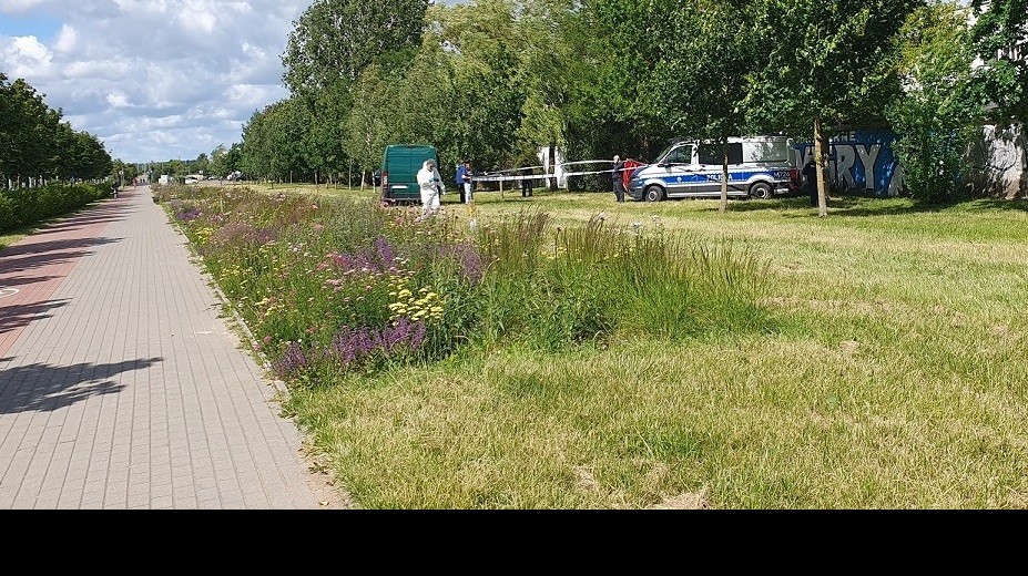 Suwalczanin, który podrzucił zwłoki matki koło garaży przy Reja, stanie przed sądem