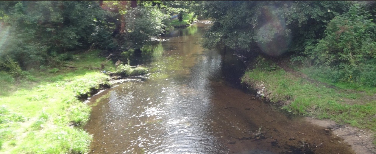 Suwałki. Pięć ofert w przetargu na park z małą plażą nad Czarną Hańczą [zdjęcia]
